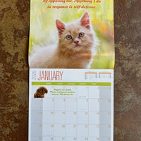 Social Justice Kittens 2026 Wall Calendar