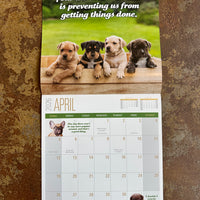 Social Justice Kittens 2026 Wall Calendar