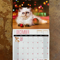 Social Justice Kittens 2026 Wall Calendar