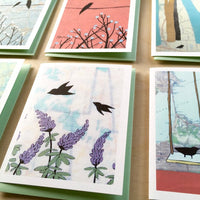Bird Card Set