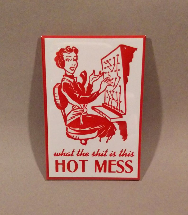 What the Sh*t is This Hot Mess Magnet