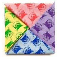 Little Lark Cat Face Bandana