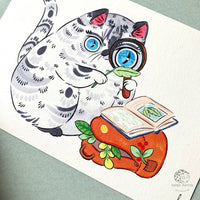 Nature + Mushrooms Cats Postcard Set