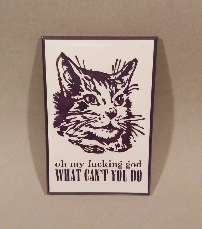 OMFG What Can't You Do? Magnet