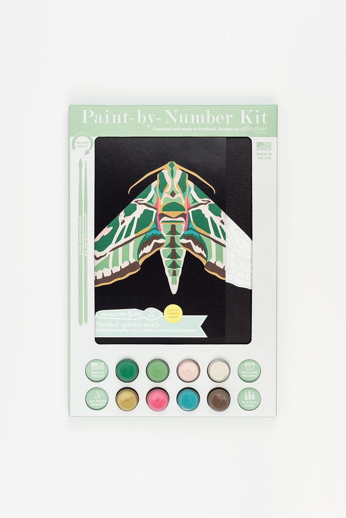 Banded Sphinx Moth Paint by Numbers Kit