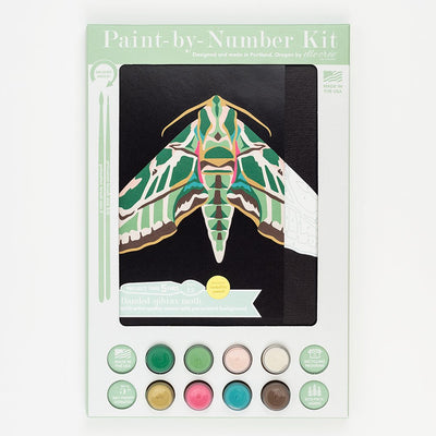 Banded Sphinx Moth Paint by Numbers Kit