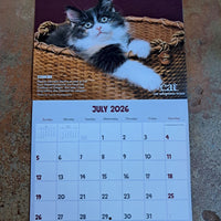 2026 CAT Calendar