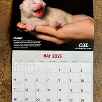 2025 CAT Calendar