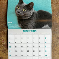 2025 CAT Calendar