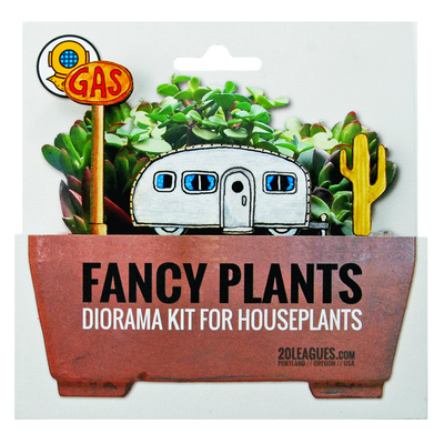 Desert Oasis Plant Diorama Kit