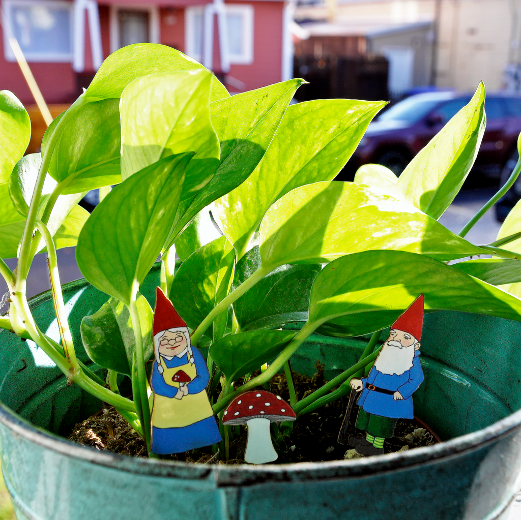 diorama plant pot Garden Gnome Plant Diorama Kit – Crafty Wonderland