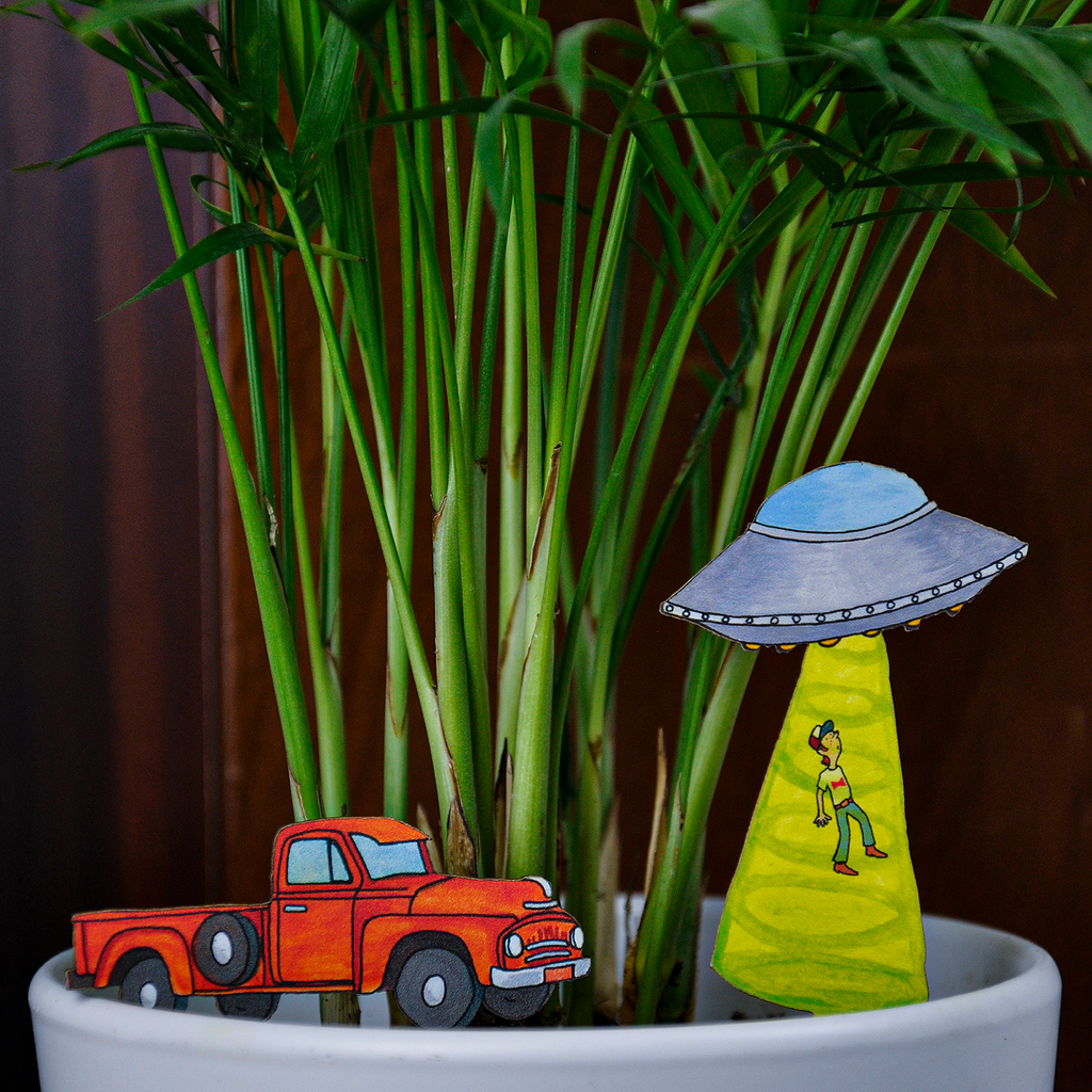 UFO Abduction Plant Diorama Kit – Crafty Wonderland
