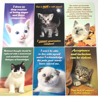 Social Justice Kittens Postcard Set Vol 6